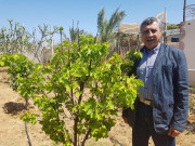 أوراق من خلف جدران الأسر