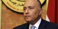 شكري يؤكد على ثوابت الموقف المصري إزاء القضية الفلسطينية