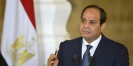 السيسي يدعو موسكو وكييف إلى إيجاد "حلول عاجلة" لأزمة الحبوب