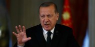 إردوغان: على إسرائيل الخروج فورا من "حالة الجنون"