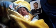 الأسرى أنجبوا 64 طفلا عبر "تهريب النطف"
