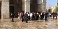 تركيا تدين الهجمات الإسرائيلية على المدنيين ومحاولات المستوطنين أداء صلواتهم في الأقصى