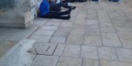 الاحتلال يبعد 5 شبان عن المسجد الأقصى 12 يومًا