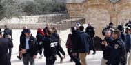 وزارة شؤون القدس: اقتحام بن غفير المتجدد للأقصى استفزاز لمشاعر المسلمين