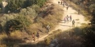 مستوطنون يقتحمون الولجة ويؤدون طقوسا تلمودية