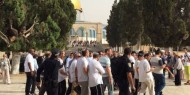 155 مستوطنا بينهم عناصر من مخابرات الاحتلال يقتحمون الأقصى