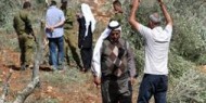 مستوطنون يقطعون 25 شجرة زيتون ولوزيات ويهدمون سلاسل حجرية غرب بيت لحم
