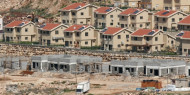 المستوطنات تحولت لبؤر ناقلة لفيروس "كورونا" إلى المدن والقرى الفلسطينية في الضفة