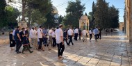 عشرات المستعمرين يقتحمون المسجد الأقصى