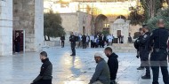 الاحتلال يشدد اجراءاته في محيط الأقصى وعشرات المستوطنين يقتحمون باحاته