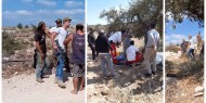 إصابة مواطنين في اعتداء للمستوطنين على قاطفي الزيتون غرب سلفيت