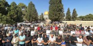 مجلس الإفتاء يدعو المواطنين إلى شد الرحال للمسجد الأقصى خلال رمضان