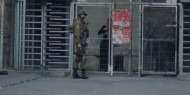 الاحتلال يصيب شابًا بالرصاص ويعتقل فتاة في الخليل