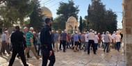 مستعمرون يقتحمون المسجد الأقصى