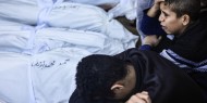شهداء وجرحى في قصف للاحتلال على مدينة غزة